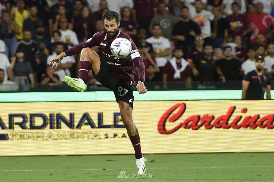 篮球学习的 篮球学习的